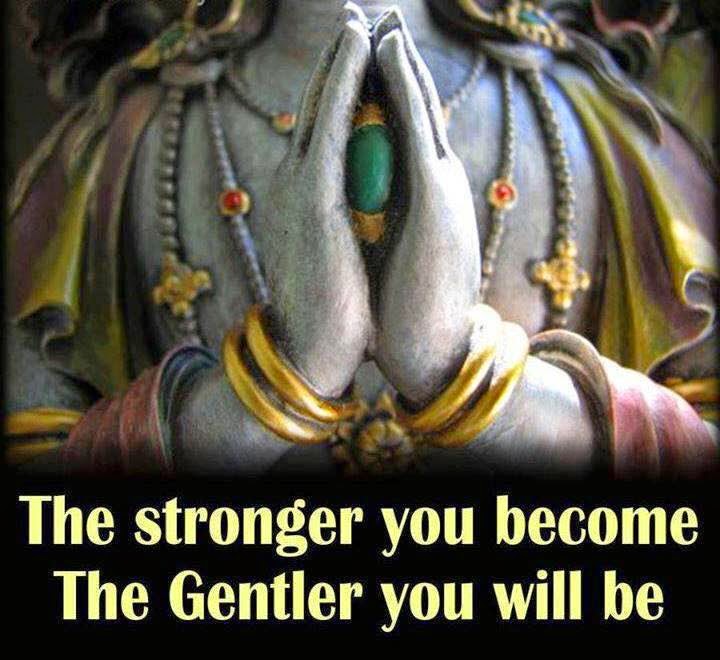 2015年2月20日讯息 『红龙和蓝龙』